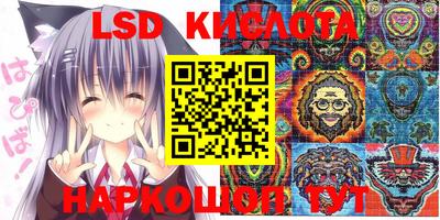 a pvp Камышлов
