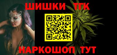a pvp Камышлов