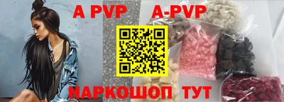 a pvp Камышлов
