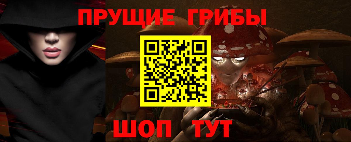 Галлюциногенные грибы Psilocybine cubensis  Вход с VPN  Кстово 